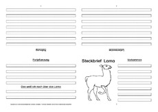 Lama-Faltbuch-vierseitig-2.pdf